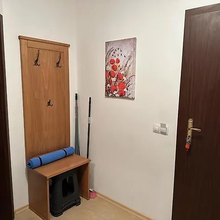 Апартаменты Borealis Банско