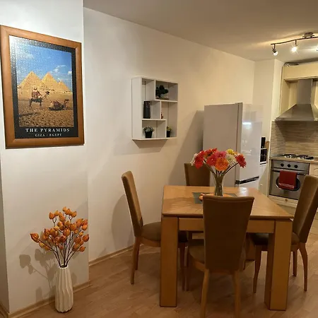 Borealis بانسكو