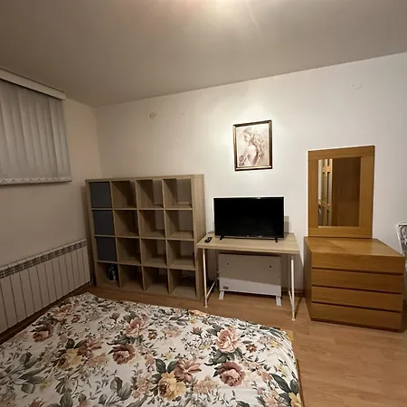 Borealis Apartament *