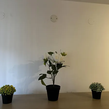 Borealis Appartement