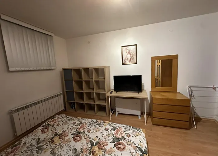 Borealis Appartement *