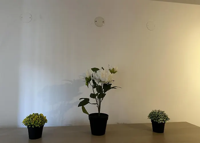 Borealis Appartement